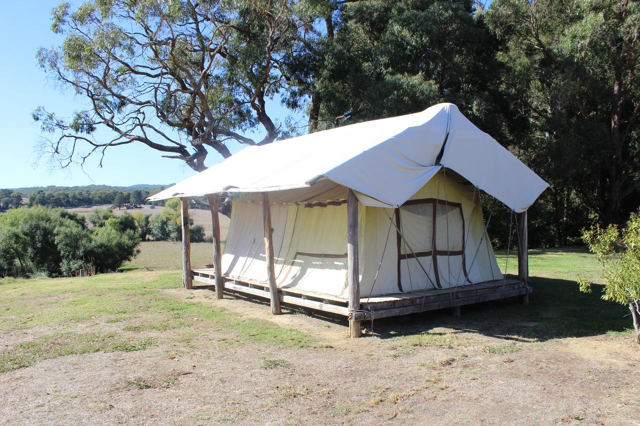 Wonky Stables Holiday Park Forrest Exterior foto